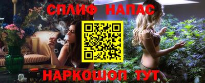 гашик Донецк
