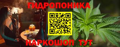 гашик Донецк