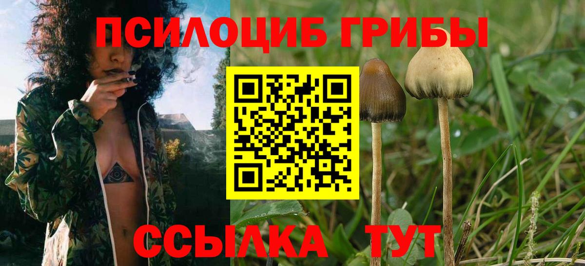 Псилоцибиновые грибы Cubensis Лангепас